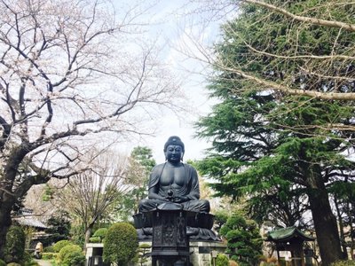 🌳 아카츠카 식물원 (이타바시 구립 아카츠카 쇼쿠부츠엔) 이미지 2